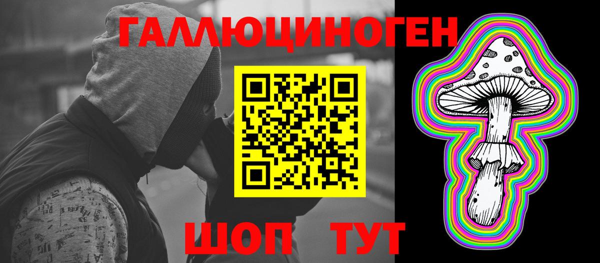 Славгород  Псилоцибиновые грибы Magic Shrooms  хочу наркоту  Вход с VPN 
